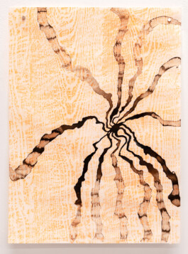 Alma Itzhaky